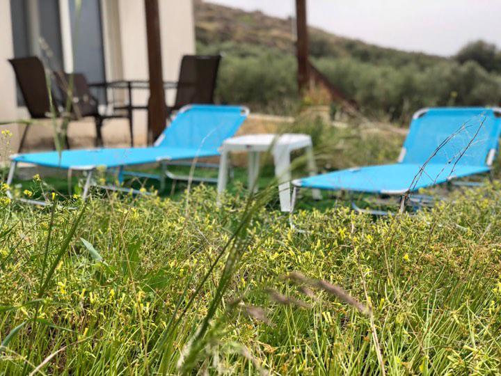 Villa Oniro Kreta Каламакі Екстер'єр фото